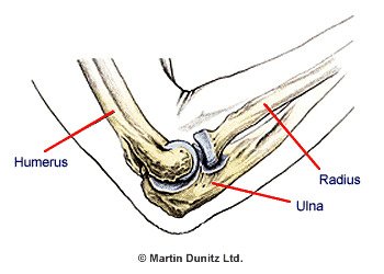 elbow arthritis joints