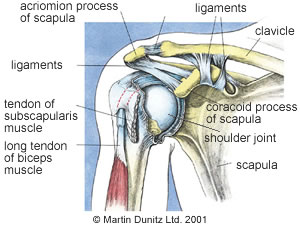 Frozen Shoulder