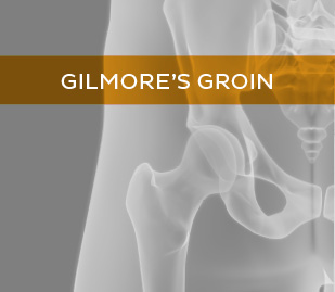 Gilmore's Groin
