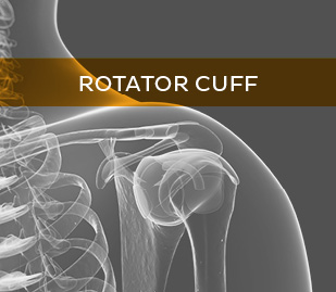 Rotator Cuff Injury