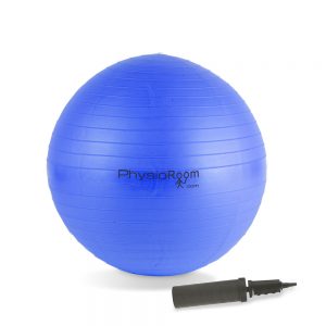 Gym Ball - Home Fitness